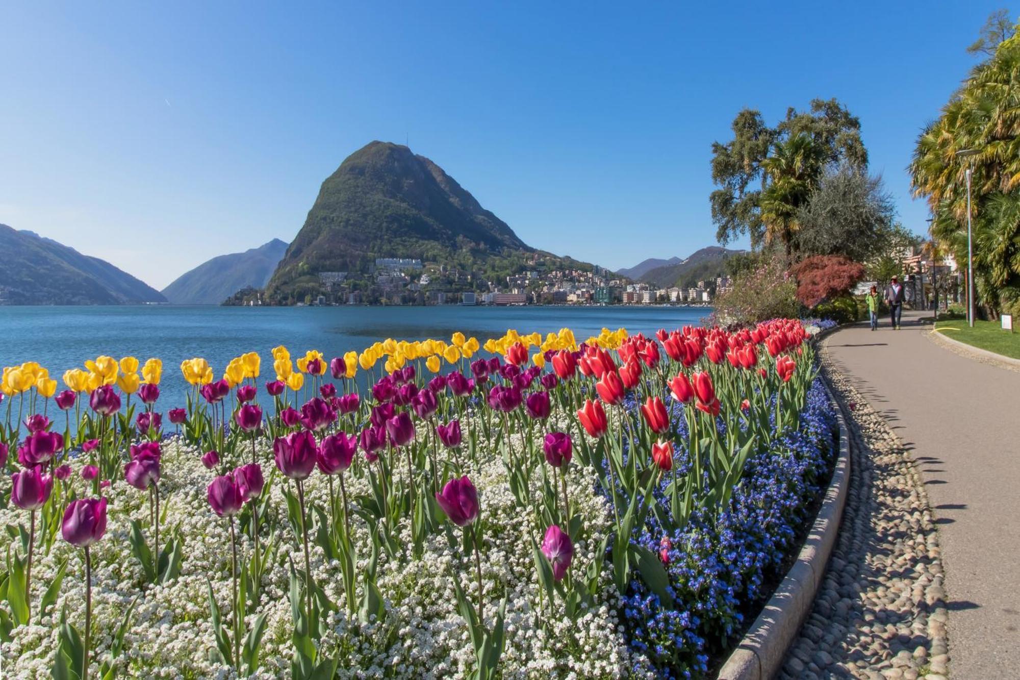 Apartment Novos Contrada - Happy Lugano